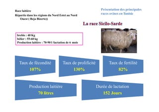 Présentation des principales
races ovines en Tunisie
brebis : 40 Kg
bélier : 55-60 kg
Production laitière : 70-90 l /lactation de 6 mois
Race laitière
Répartie dans les régions du Nord Estet au Nord
Ouest ( Beja Bizerte))
Taux de fécondité
107%
Taux de prolificité
130%
Taux de fertilité
82%
Production laitière
70 litres
Durée de lactation
152 Jours
 
