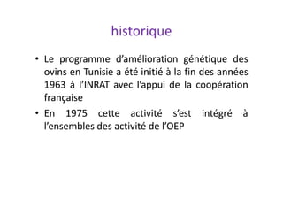 historique
• Le programme d’amélioration génétique des
ovins en Tunisie a été initié à la fin des années
1963 à l’INRAT avec l’appui de la coopération
française
• En 1975 cette activité s’est intégré à
l’ensembles des activité de l’OEP
 