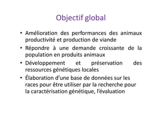 Objectif global
• Amélioration des performances des animaux
productivité et production de viande
• Répondre à une demande croissante de la
population en produits animaux
• Développement et préservation des
ressources génétiques locales
• Élaboration d’une base de données sur les
races pour être utiliser par la recherche pour
la caractérisation génétique, l’évaluation
 
