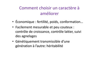 Comment choisir un caractère à
améliorer
• Économique : fertilité, poids, conformation…
• Facilement mesurable et peu couteux :
contrôle de croissance, contrôle laitier, suivi
des agnelages
• Génétiquement transmissible d’une
génération à l’autre: héritabilité
 
