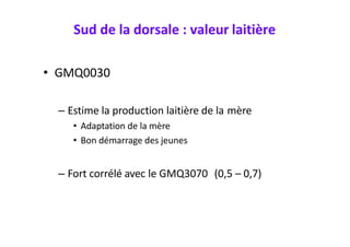 Sud de la dorsale : valeur laitière
• GMQ0030
– Estime la production laitière de la mère
• Adaptation de la mère
• Bon démarrage des jeunes
– Fort corrélé avec le GMQ3070 (0,5 – 0,7)
 