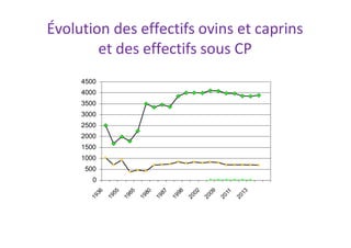 Évolution des effectifs ovins et caprins
et des effectifs sous CP
4500
4000
3500
3000
2500
2000
1500
1000
500
0
 