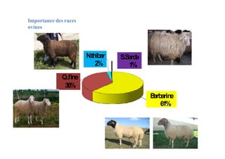 Importance des races
ovines
N
.thibar
2
%
S
.S
arde
1
%
B
arbarine
61%
Q.fine
36%
 