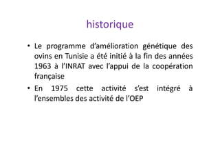historique
• Le programme d’amélioration génétique des
ovins en Tunisie a été initié à la fin des années
1963 à l’INRAT av...