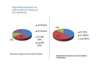 Répartition du cheptel ovin
selon la taille du Troupeau et
de l’exploitation
39%
22% 21-50 tetes 40%
inf 20 tetes
13%
Répa...
