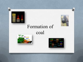 Formation of
    coal
 