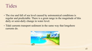 Tides
• The rise and fall of sea level caused by astronomical conditions is
regular and predictable. There is a great range in the magnitude of this
daily or semi-daily change in water level.
• Tidal currents transport sediment in the same way that longshore
currents do.
18
 