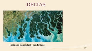 30
DELTAS
India and Bangladesh - sunderbans
 