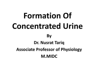 Formation Of
Concentrated Urine
By
Dr. Nusrat Tariq
Associate Professor of Physiology
M.MIDC
 