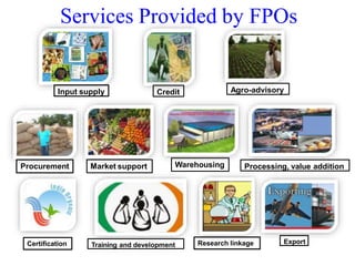 Formation of FPO.pdf