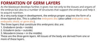 formation of germ layer ppt for mbbs students | PPTX