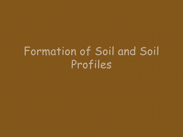 soil formation essay soil formation essay