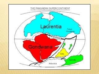 Formation of the himalayas | PPTX