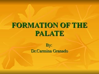 FORMATION OF THE PALATE By:  Dr.Carmina Granado 