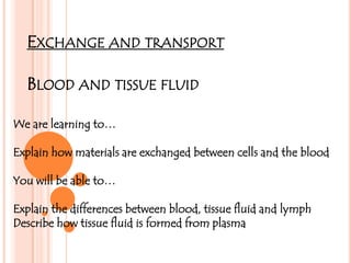 EXCHANGE AND TRANSPORT
BLOOD AND TISSUE FLUID
We are learning to…
Explain how materials are exchanged between cells and the blood
You will be able to…
Explain the differences between blood, tissue fluid and lymph
Describe how tissue fluid is formed from plasma
 