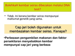 BolehkaH kembar seiras dibezakan melalui DNA
test?
• Tidak. Ini kerana kembar seiras mempunyai
maklumat genetik yang sama.
Cap jari boleh digunakan untukCap jari boleh digunakan untuk
membezakan kembar seiras. Kenapa?membezakan kembar seiras. Kenapa?
•Perbezaan pengambilan makanan dan faktor
persekitaran menyebabkan kembar
mempunyai cap jari yang berbeza
 