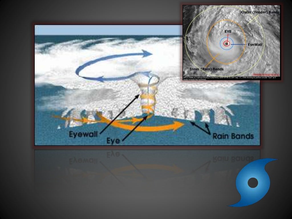 Formation of Typhoon