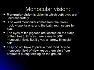 Formation of vision | PPT
