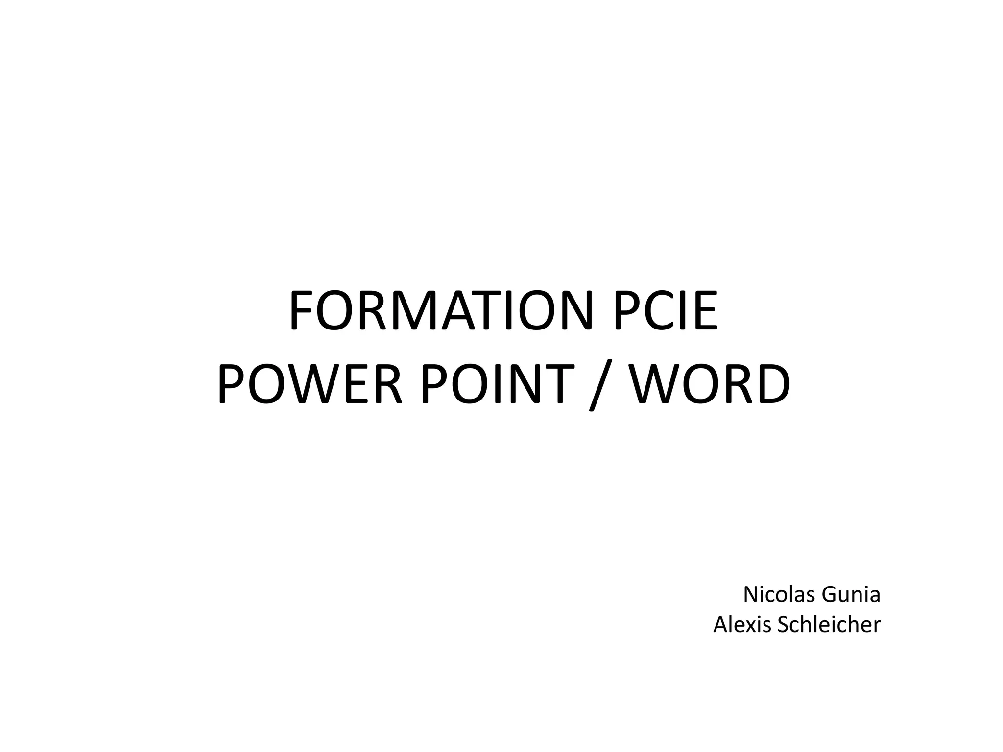 FORMATION PCIE
POWER POINT / WORD
Nicolas Gunia
Alexis Schleicher