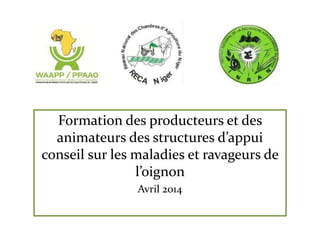 Formation des producteurs et des
animateurs des structures d’appui
conseil sur les maladies et ravageurs de
l’oignon
Avril 2014
 