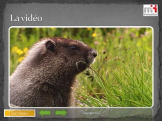 Sommaire Copyright 2014
 