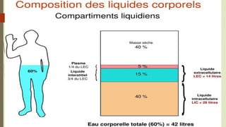 Formation produits 2