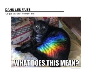 DANS LES FAITS
Ce que cela veut vraiment dire
 