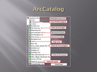 Image raster
Classed’entité polygone
Fichierde formepolygone
Fichierde formepoint
Document ArcMap
Document ArcScene
Fichierde formeligne
Géodatabasepersonnel
Fichierde couche
FichierExcel
 