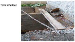 Fosse sceptique
 