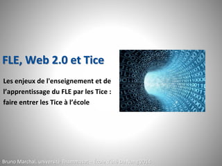 FLE, Web 2.0 et Tice
Les enjeux de l'enseignement et de
l’apprentissage du FLE par les Tice :
faire entrer les Tice à l’école
Bruno Marchal, université Thammasat – École d’été Da Nang 2014
 