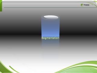 4Segmentation