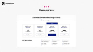 Elementor pro
 