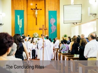 Extraordinary Ministers of Holy Communion Formation: Communion at Mass ...