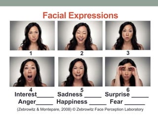 Facial Expressions
Interest_____ Sadness _____ Surprise _____
Anger_____ Happiness _____ Fear ______
(Zebrowitz & Montepare, 2008) © Zebrowitz Face Perception Laboratory
 