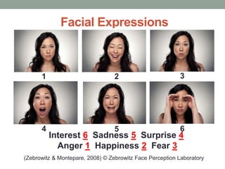 Facial Expressions
Interest 6 Sadness 5 Surprise 4
Anger 1 Happiness 2 Fear 3
(Zebrowitz & Montepare, 2008) © Zebrowitz Face Perception Laboratory
 