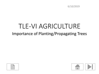 TLE-VI AGRICULTURE
Importance of Planting/Propagating Trees
6/10/2019
 