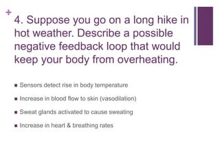 +
4. Suppose you go on a long hike in
hot weather. Describe a possible
negative feedback loop that would
keep your body from overheating.
 Sensors detect rise in body temperature
 Increase in blood flow to skin (vasodilation)
 Sweat glands activated to cause sweating
 Increase in heart & breathing rates
 