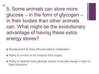 +
5. Some animals can store more
glucose – in the form of glycogen –
in their bodies than other animals
can. What might be the evolutionary
advantage of having these extra
energy stores?
 Development of more efficient cellular metabolism
 Ability to survive on an irregular food supply
 Ability to mobilize extra glucose rapidly to provide energy in fight-or-
flight situations
 
