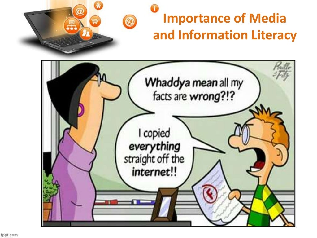 essay about media and information literate