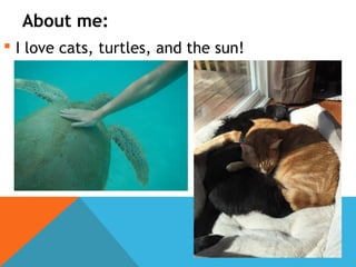 About me:
 I love cats, turtles, and the sun!
 