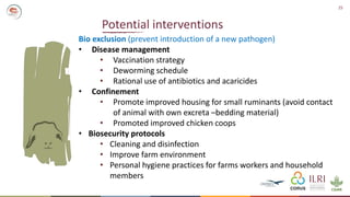 Formative Research- Animal-Inclusive Community Led Total Sanitation Project―Preliminary findings and implications