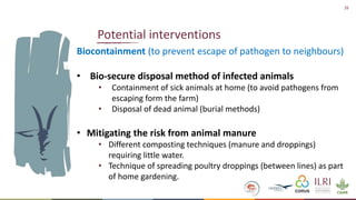 Formative Research- Animal-Inclusive Community Led Total Sanitation Project―Preliminary findings and implications