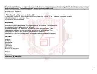 19
Orientaciones didácticas para el proceso de desarrollo de aprendizaje primer, segundo o tercer grado. (Contenidos que enriquecen los
programas nacionales), Actividades sugeridas, recursos y tiempos de ejecución.
Orientaciones Didácticas
-Promoción de la salud y cultura de la prevención
-¿Qué tipo de organismo habitan en el cuerpo humano ya como influyen en las s funciones vitales y en la salud?
-Características de las bacterias y virus.
-Propagación de enfermedades
Actividades
Elaboraran un mapa Mental sobre las características de las bacterias y virus.Planearan
una exposición sobre la Promoción de la Salud.
Elaborarán Cárteles y los distribuirán en la escuela sobre el cuidado de la Salud.
Realizarán un diagrama de flujo, si obre las características de Bacterias y Virus
Realizarán una Práctica de Laboratorio identificación de Bacterias
Realizarán un cuadro comparativo sobre información de Enfermedades contagiosas.
Recursos
Pizarrón
Cartulina
Marcadores
Cuaderno
Laboratorio
Microscopio
Material de Laboratorio
Tiempo
8 sesiones
Sugerencias de evaluación.
 