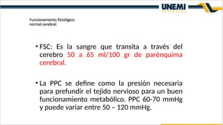 Ppc Normal FORMATO ACTUALIZADO DE DIAPOSITIVAS NEUROANATOMIA.pptx