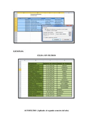 EJEMPLOS:
CELDA SIN FILTROS
AUTOFILTRO (Aplicado al segundo semestre del año)
 