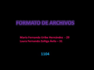 María Fernanda Uribe Hernández - 29
Laura Fernanda Zúñiga Ávila – 31



              1104
 