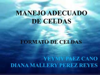 MANEJO 
ADECUADO DE 
CELDAS 
MANEJO ADECUADO 
{ 
DE CELDAS 
FORMATO DE CELDAS 
FORMATO DE CELDAS 
YEYMY PAEZ CANO 
DIANA MALLERY PEREZ REYES 
 