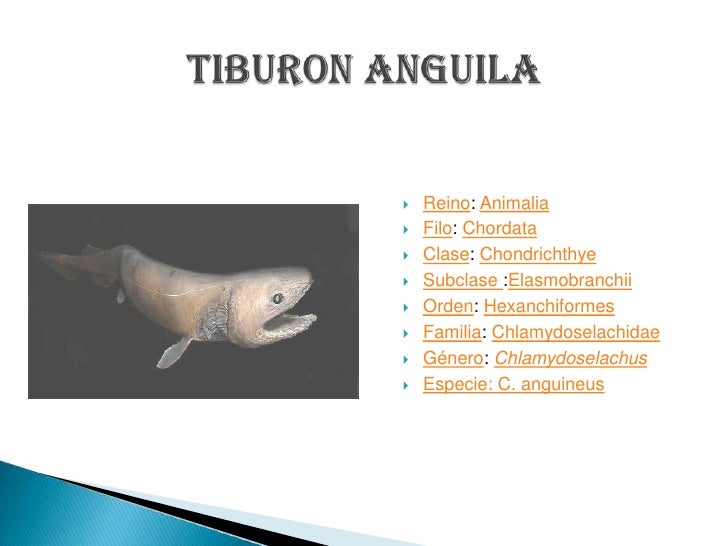 Formato de divulgacion cientifica (johan sebastian sanchez)