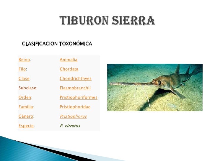 Formato de divulgacion cientifica (johan sebastian sanchez)