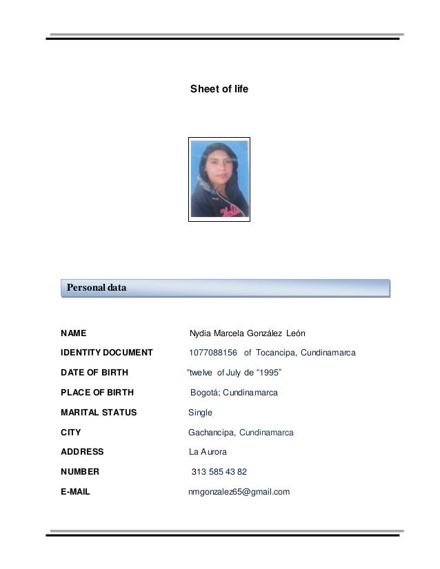 Hoja De Vida english